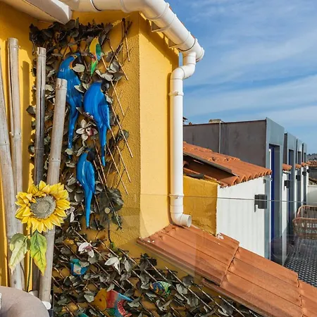 Daire Peaceful Loft - Amazing Terrace & View